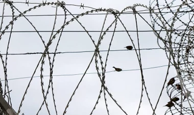 Cəzaçəkmə müəssisələrində səsvermə keçirilir