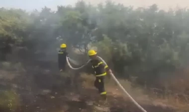 Magistral yolun kənarında yanğın - VİDEO