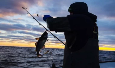 Azərbaycanda bu qadağa sentyabrın 1-dən ləğv olunur