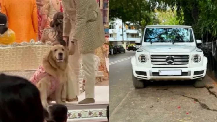 Onun sevimli itinin 360 min dollarlıq “Mercedes”ivar