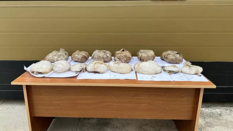 Yaşmada 16 kq narkotik tapıldı - FOTO