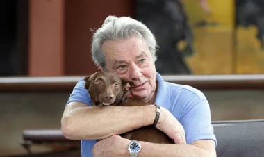 Alen Delon 35 itinin yanında dəfn ediləcək - FOTO