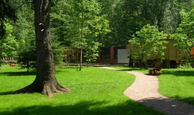 65 yaşlı kişi ağacdan yıxılıb öldü