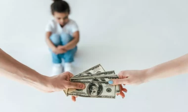 Alimentin miqdarı necə TƏYİN OLUNUR?