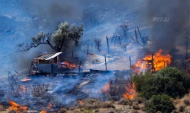 3 nəfərin piknik arzusu İzmiri yanğına bürüdü
