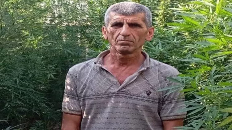 41 ədəd çətənə kolu əkdi - FOTO