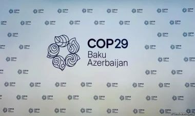 Dayanıqlı gələcək üçün irəliləyiş təşəbbüsləri: beynəlxalq təşkilatlar COP-u necə dəstəkləyir?