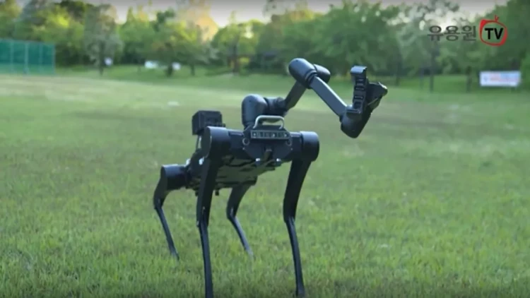 Gələcəyin təhlükəsizlik qoruyucusu: Robot-itlərin sınaqlarına başladı