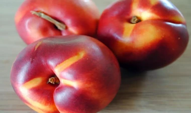 Həm arıq saxlayır, həm də ürəyə xeyirdir - Hazırda mövsümüdür