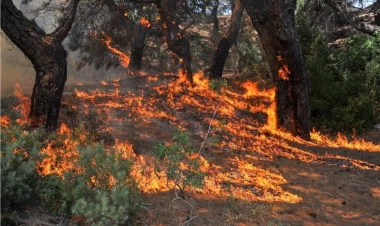 Türkiyənin Tokat bölgəsində yanğın oldu