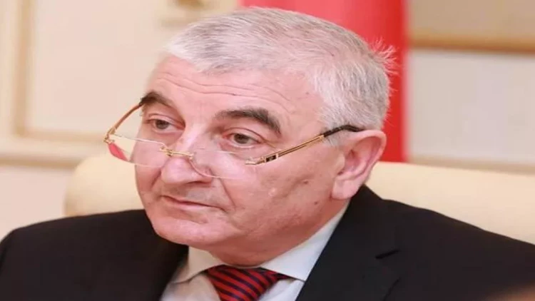 Parlament seçkiləri ilə əlaqədar qeydə alınan beynəlxalq müşahidəçilərin sayı AÇIQLANDI