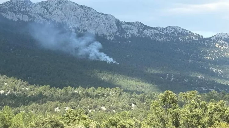 Antalyada meşə yanır