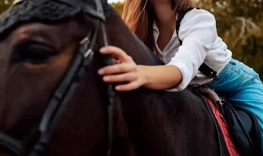 16 yaşlı qız atdan yıxıldı - vəziyyəti ağırdır