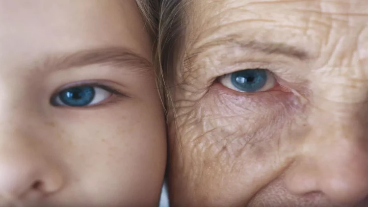 Yaşlılar üçün ən yaxşı şirniyyat: sümükləri gücləndirir, qan təzyiqini aşağı salır