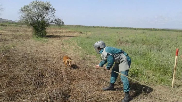 Laçında kütləvi sayda piyada əleyhinə mina aşkar edildi