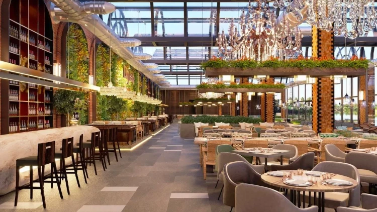 Azərbaycanda fəaliyyət göstərdiklərini 