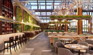 Azərbaycanda fəaliyyət göstərdiklərini 