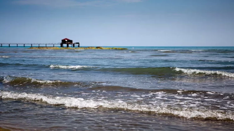 Alim Xəzərdə batma hadisələrinin səbəbini açıqladı