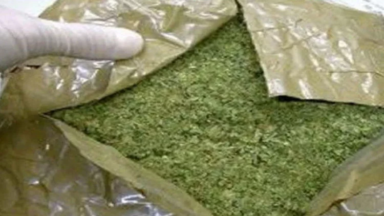 Qəbələdə narkotiklərin dövriyyəsini təşkil edən şəxs tutuldu - FOTO