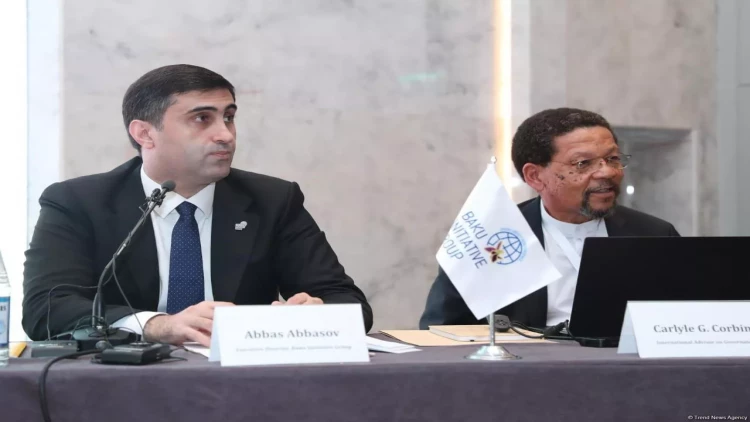 Hesabatın məqsədi Fransanın qeyri-qanuni əməllərini üzə çıxarmaqdır - İcraçı direktor