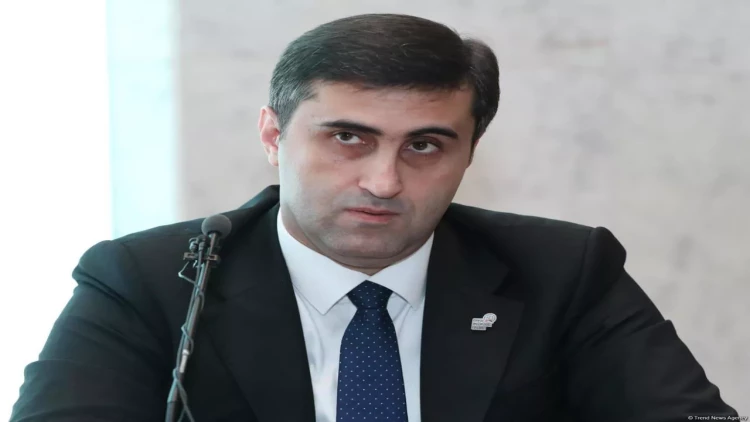 BTQ Niderlandın koloniyalarına dəstək verməyə başlayıb - Abbas Abbasov