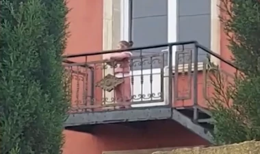 Bağçaya əmanət edilən azyaşlılara nəzarət edilmir? - VİDEO