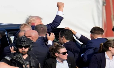 Tramp mühafizəsindəki qadınları işdən çıxardı