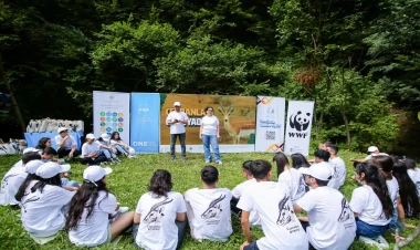 “Ceyranları qoruyaq!” ekoloji yay düşərgəsi keçirilib - FOTO