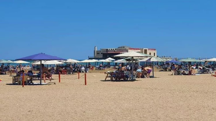 Bakıda çimərlikdə gürzə ilanı - VİDEO