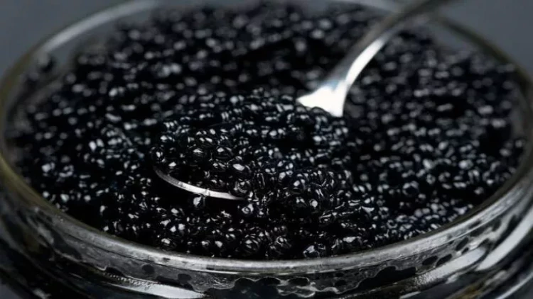 Qara kürü niyə bu qədər bahadır? - 6 əsas səbəb