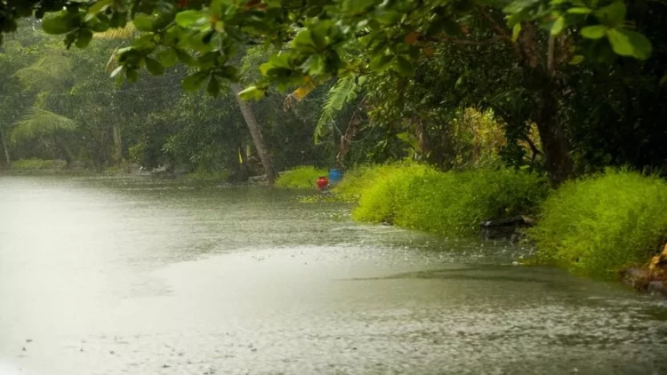 Bəzi rayonlara leysan yağdı -  FAKTİKİ HAVA
