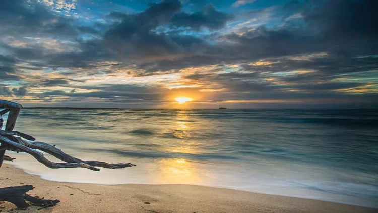 Şüvəlanda çimərlik ərazisində silahlar aşkarlandı