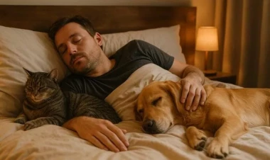 Ev heyvanı ilə eyni yataqda yatanlara ciddi xəbərdarlıq