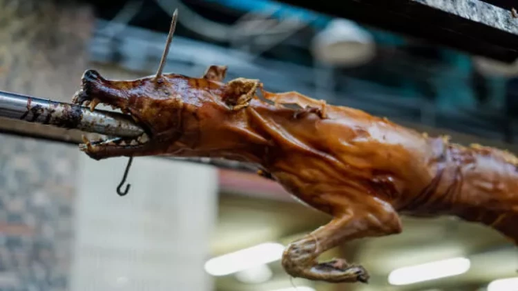 ABŞ prezidentliyinə namizəddən gündəm yaradan olay -  İt əti yedi