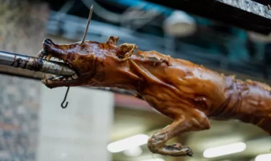 ABŞ prezidentliyinə namizəddən gündəm yaradan olay -  İt əti yedi