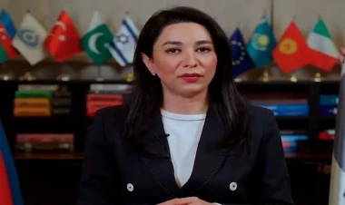 Beynəlxalq təşkilatlar Ermənistan hərbi-siyasi rəhbərliyinin bu cinayətlərinə hüquqi qiymət verməlidir - Ombudsman