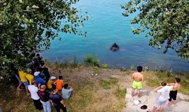 FHN-dən qeyri-çimərliklərdən istifadə ilə bağlı əhaliyə müraciət