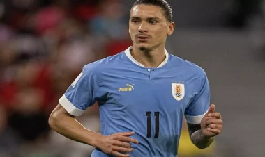 Darvin Nunyes “Top-7”də