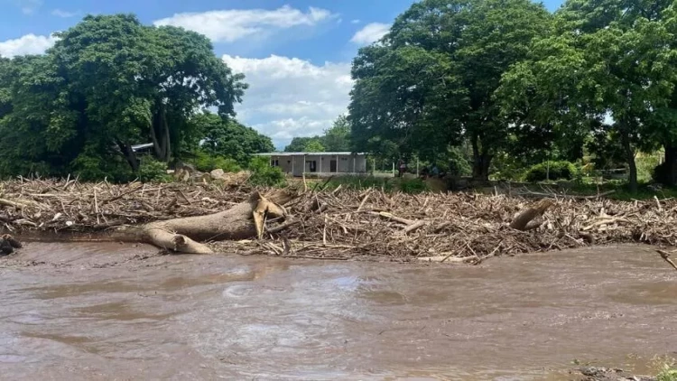 Venesuelanın vitse-prezidenti ağac aşması nəticəsində yaralandı