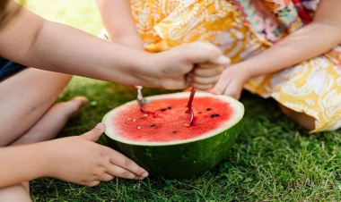 Zibil kimi atdığımız qarpız tumlarının inanılmaz faydası