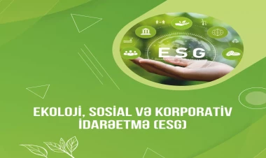 Ekoloji, sosial və korporativ idarəetmə üzrə qanunvericilikdə hansı güzəştlər var?