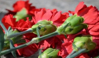 Niyə qərənfil yas çiçəyi hesab olunur?