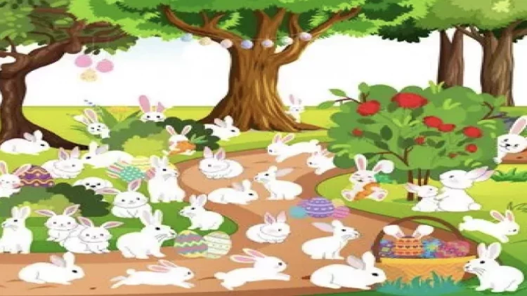 Beş nəfərdən yalnız biri bu tapmacanı həll edə bilər