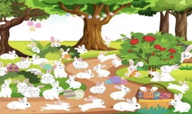 Beş nəfərdən yalnız biri bu tapmacanı həll edə bilər