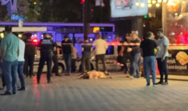 Bakıda gənc oğlanın güllələnmə səbəbi bilindi - YENİLƏNİB - FOTO