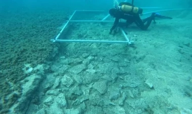 Aralıq dənizində 7 min illik yol tapıldı