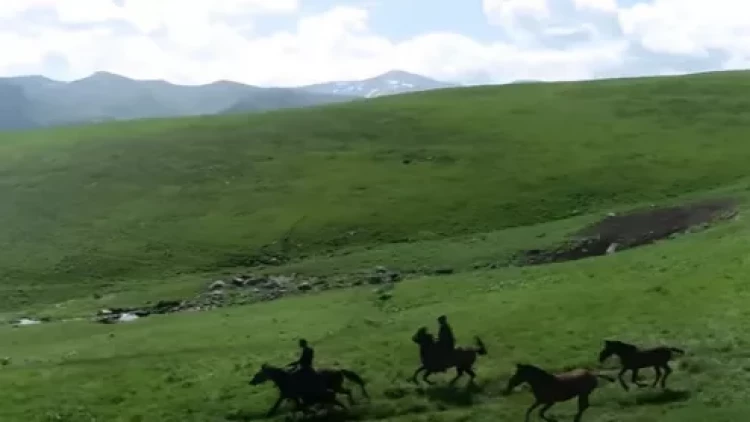 Yaylaq mövsümündə KƏLBƏCƏR: Gözoxşayan görüntülər - VİDEO