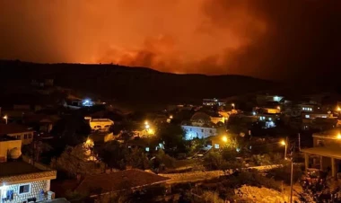 Türkiyədə yanğın qurbanlarının  sayı artdı - FOTO