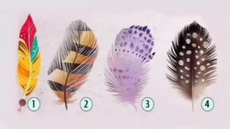 Lələklərdən birini seçin, yaşam missiyanızı anlayın