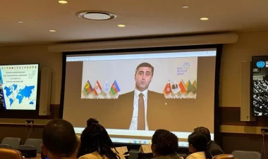 BTQ müstəmləkələrin öz müstəqillikləri uğrunda ədalətli mübarizəsini dəstəkləməyə davam edəcək - FOTOlar